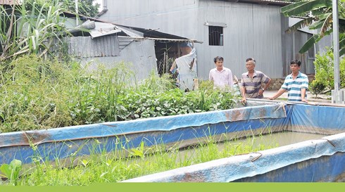 Description: https://img2.infonet.vn/w490/Uploaded/2019/batmgt/2019_05_14/lang-nuoiluon-1557749974-width1600height893.jpg