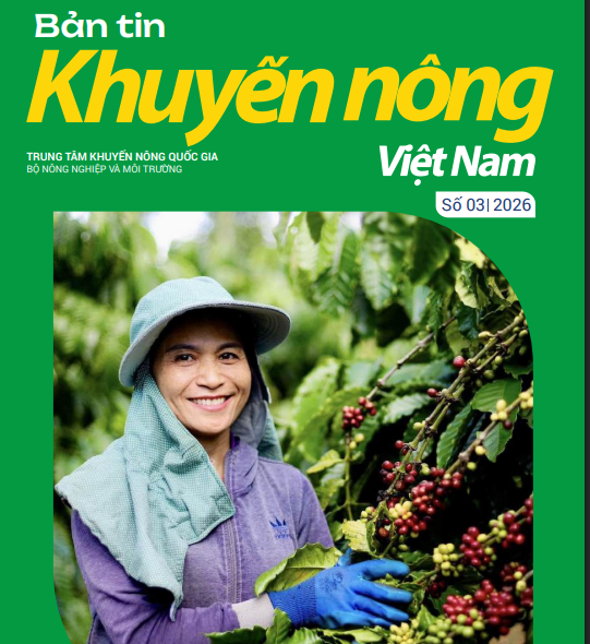Bản tin KNQG số 3-2026