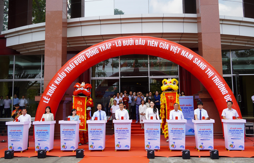 Xuất khẩu trái bưởi Đồng Tháp