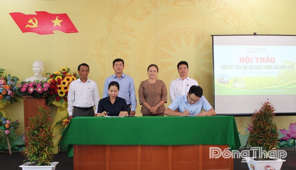 Hội thảo liên kết tiêu thụ lúa chất lượng cao, phát thải thấp