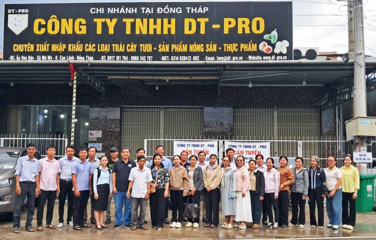 Tập huấn nâng cao năng lực khuyến nông, thúc đẩy sản xuất xoài an toàn, thích ứng với biến đổi khí hậu
