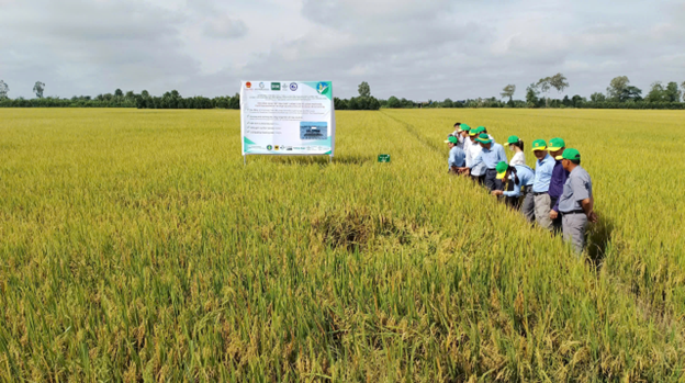 Quản lý, kiểm tra và giám sát hoạt động khuyến nông cấp tỉnh năm 2026