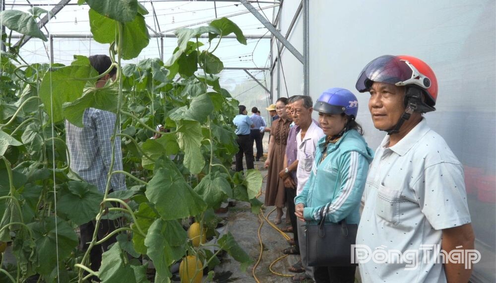 Phổ biến kiến thức ứng dụng công nghệ cao trong nông nghiệp