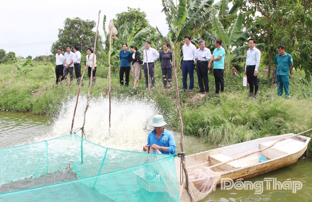 Đồng chí Ngô Chí Cường thăm các mô hình sản xuất hiệu quả tại phường Mỹ Trà